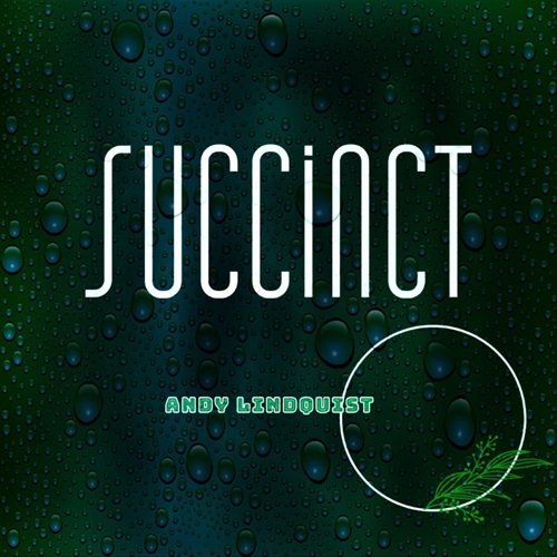 Andy Lindquist - Succinct (2025)