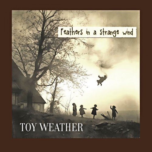 Toy Weather - Feathers in a strange wind (2025) [Hi-Res]