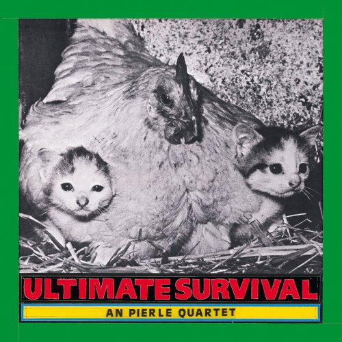 An Pierlé Quartet - Ultimate Survival (2025)