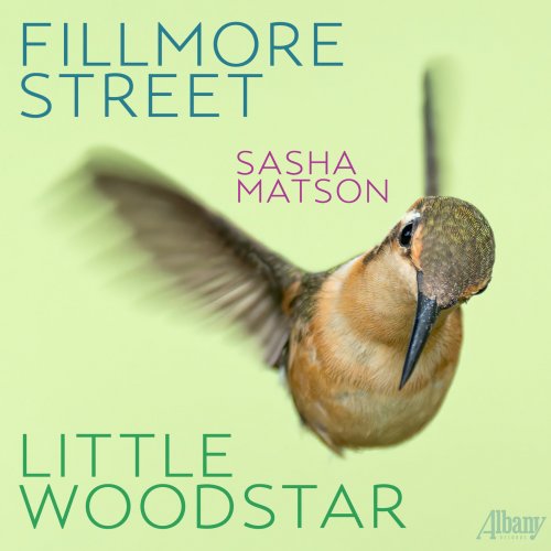 Sasha Matson - Fillmore Street-Little Woodstar (2025) [Hi-Res]