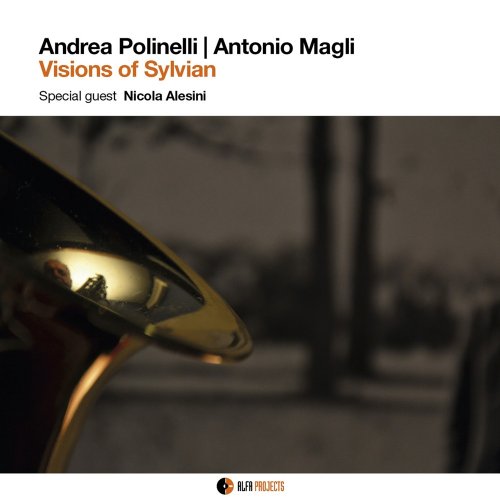 Andrea Polinelli & Antonio Magli - Visions of Sylvian (feat. Nicola Alesini) (2017) FLAC