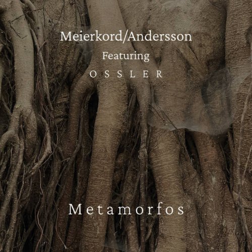 Meierkord/Andersson featuring Ossler - Metamorfos (2024)