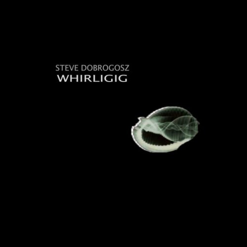 Steve Dobrogosz - Whirligig (2024)