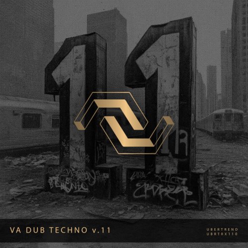 VA - V.A. Dub Techno V.11 (2025)