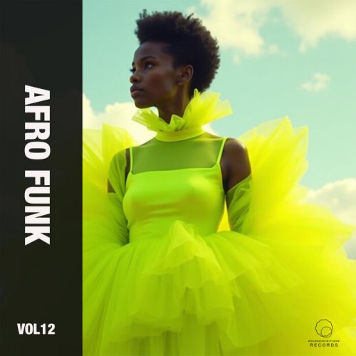 VA - Afro Funk Vol 12 (2025)