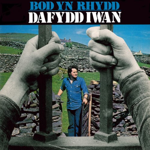 Dafydd Iwan - Bod Yn Rhydd (1979/2025) Hi-Res