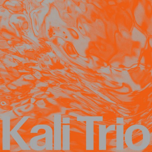 KALI Trio - The Playful Abstract (2025)