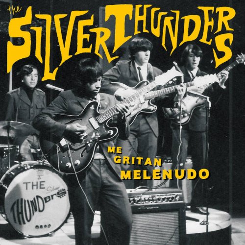 The Silver Thunders - Me Gritan Melenudo (2019) [Hi-Res]