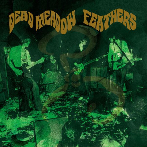 Dead Meadow - Feathers (20th Anniversary Edition) (2025)