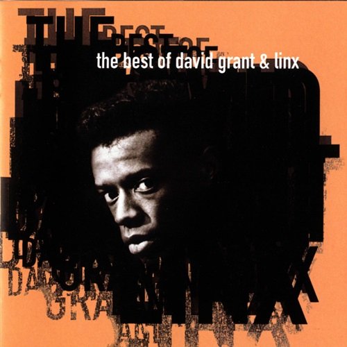 David Grant & Linx - The Best of David Grant & Linx (1993)