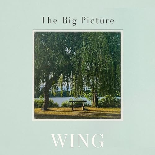 Wing - The Big Picture (2025) [Hi-Res]