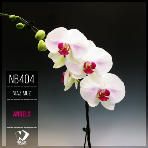 Niaz Muz - Angels (2025)