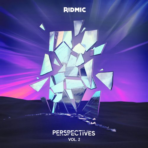 Ridmic - Perspectives Volume 2 (2025)