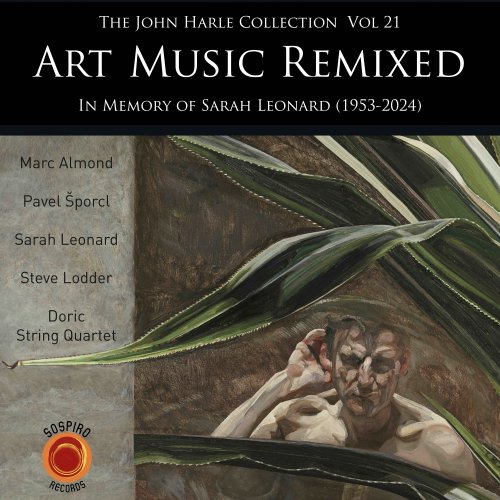 John Harle - The John Harle Collection, Vol. 21: Art Music Remixed (2025) Hi-Res