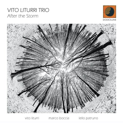 Vito Liturri Trio - After The Storm (2014) FLAC