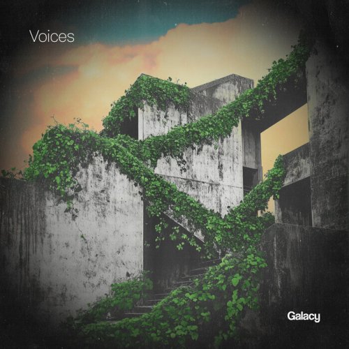 VA - Voices (2025)