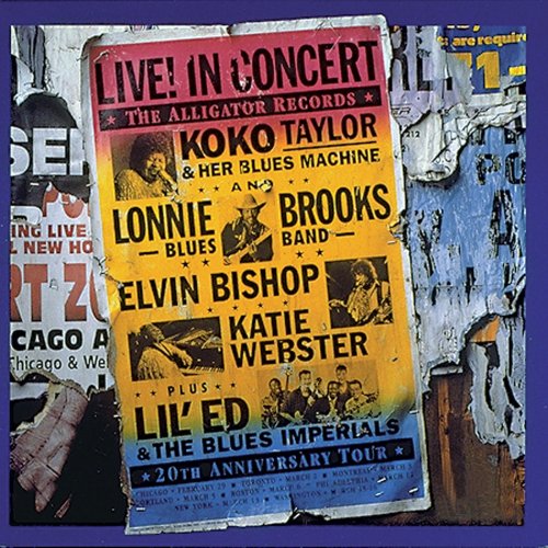 Various Artists - The Alligator Records 20th Anniversary Tour (Live) (1993)