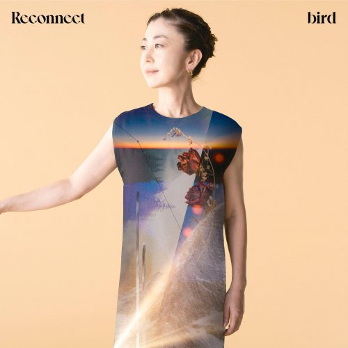 bird - Reconnect (2025) Hi-Res