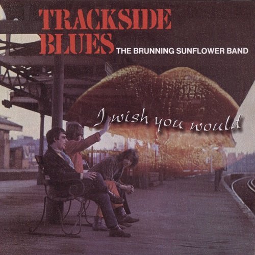 The Brunning Sunflower Blues Band - I Wish You Would (Trackside blues) (2012)