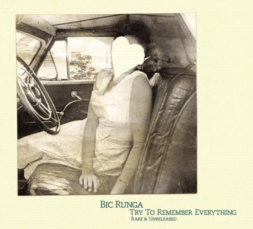 Bic Runga - Try To Remember Everything (2008)