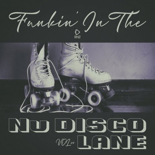 VA - Funkin' In The Nu Disco Lane, Vol.04 (2025)