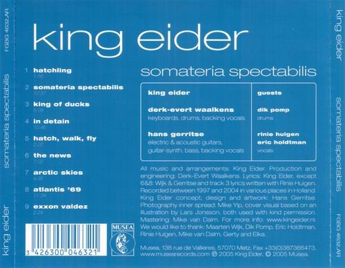 King Eider - Somateria Spectabilis (2005)