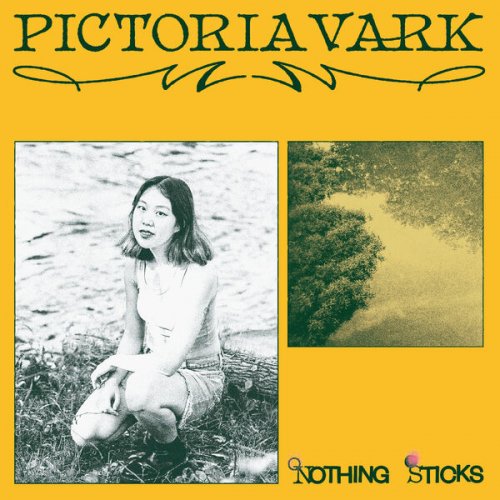 Pictoria Vark - Nothing Sticks (2025) [Hi-Res]