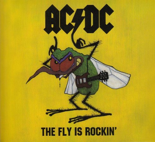 AC/DC - The Fly Is Rockin' (2010)