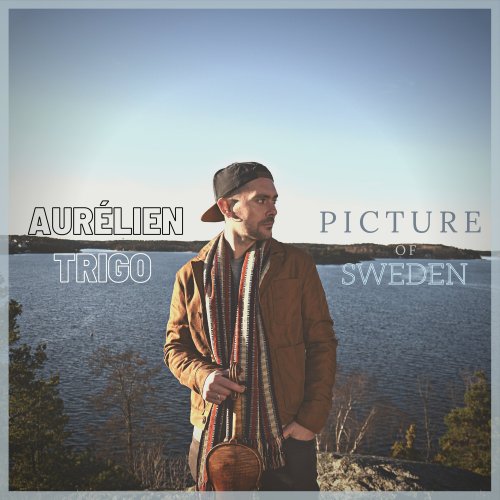 Aurélien Trigo - Picture of Sweden (2025) [Hi-Res]